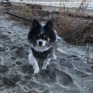 Meet your Posher, Corinna